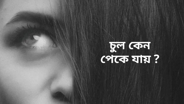 কেন চুল পেকে যায়?